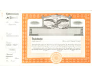 Book of 20 orange stock certificates with the company name and information.  Order Online or Call the Corporate Connection 800-523-2344