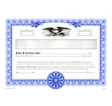 30% off Blue Blank Corporate Stock Certificate, set of 20. Order Online or Call The Corporate Connection 800-523-2344