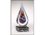25% off Teardrop Glass Awards and Acrylic Awards customized with name, text or logo. Order online or call 800-523-2344