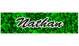 2" x 8" Green nameplate with a moss pattern. Personalized  with text, image, or logo. Order Online or Call the Corporate Connection 800-523-2344