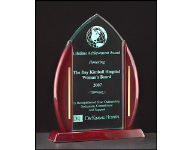 1-2 Days. Acrylic and Glass Awards. Customized with name, custom text or company logo. Quantity Discounts
800-523-2344