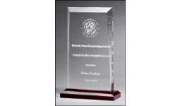30% off Recognition Awards and Service Awards. Customized with name, text and logo. Order online. Fast Shipping