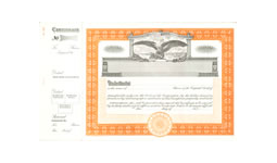 Book of 20 orange stock certificates with the company name and information.  Order Online or Call the Corporate Connection 800-523-2344