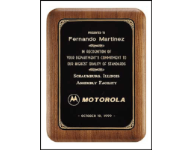 30% off Awards Plaques and Recognition Awards customized with Name, Custom Text or Logo. Order online or 800-523-2344