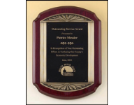 25% OFF custom rosewood award plaque engraved with name, logo or text. Bronze & piano finish. Order online or call 800-523-2344